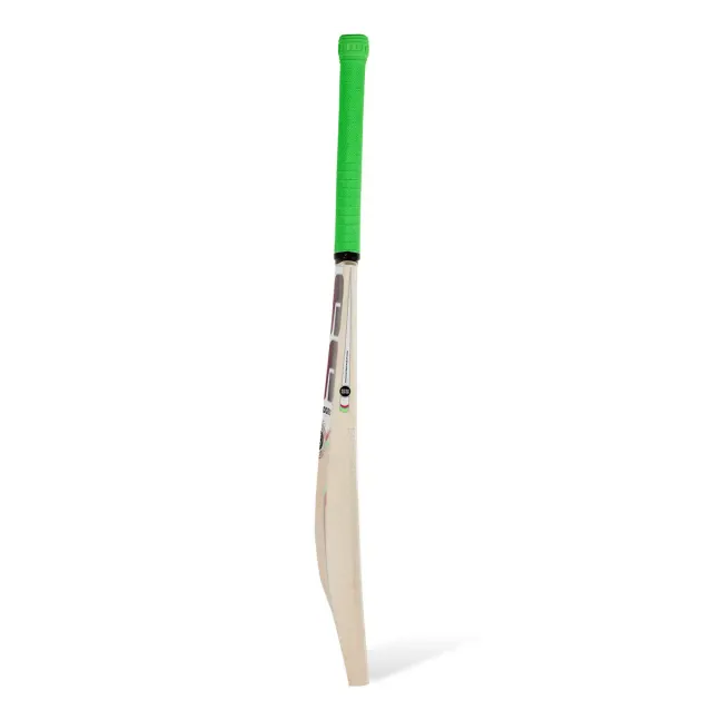 Josh Kashmir Willow Cricket Bat – SS