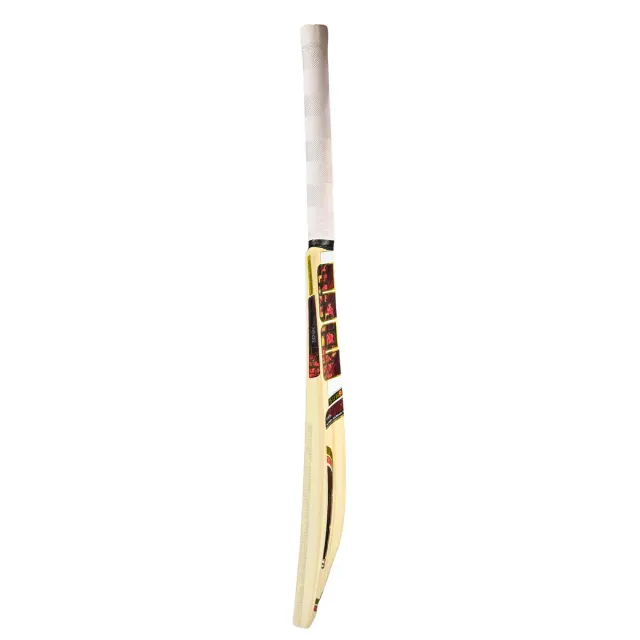 Nitish Kumar Reddy Kashmir Willow Cricket Bat (Painted) – SS
