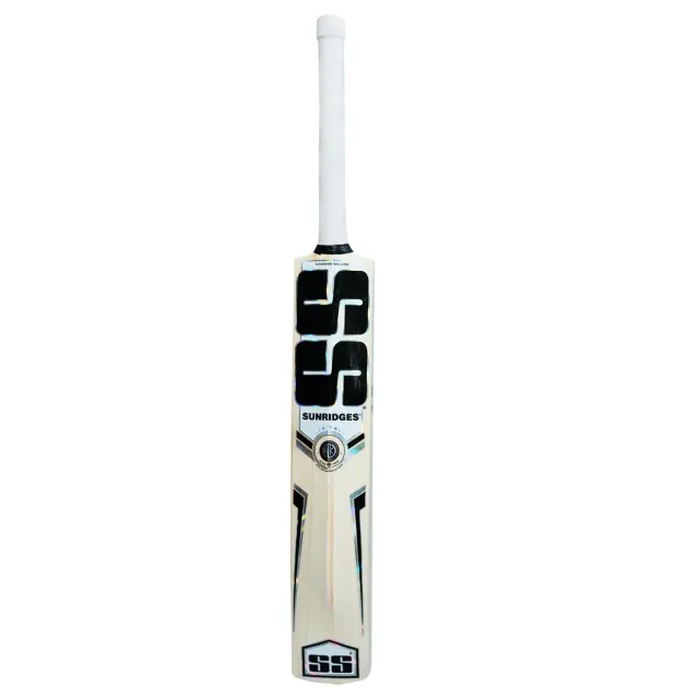 Shivam Dube Kashmir Willow Cricket Bat (Painted) – SS