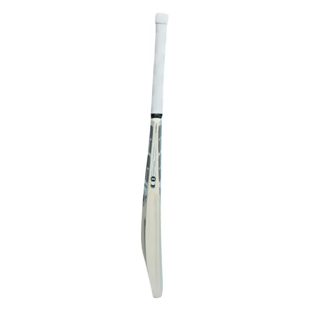 Shivam Dube Kashmir Willow Cricket Bat (Painted) – SS