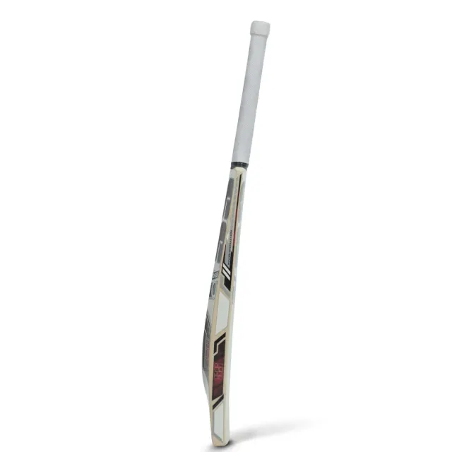 Striker Kashmir Willow Cricket Bat – SS