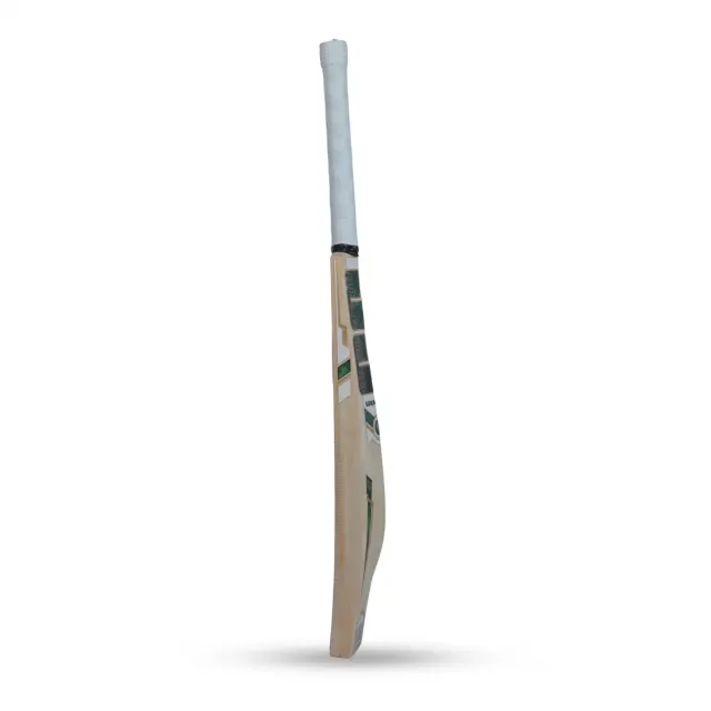 Tim David Kashmir Willow Cricket bat – SS