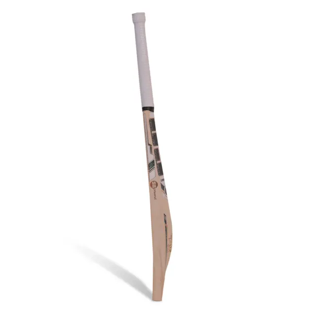 Tim David Player English Willow Cricket Bat – SS