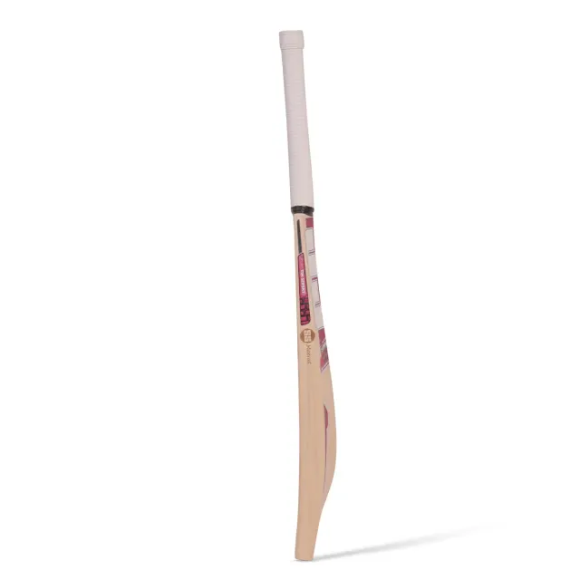Tim Siefert Player English Willow Cricket Bat – SS