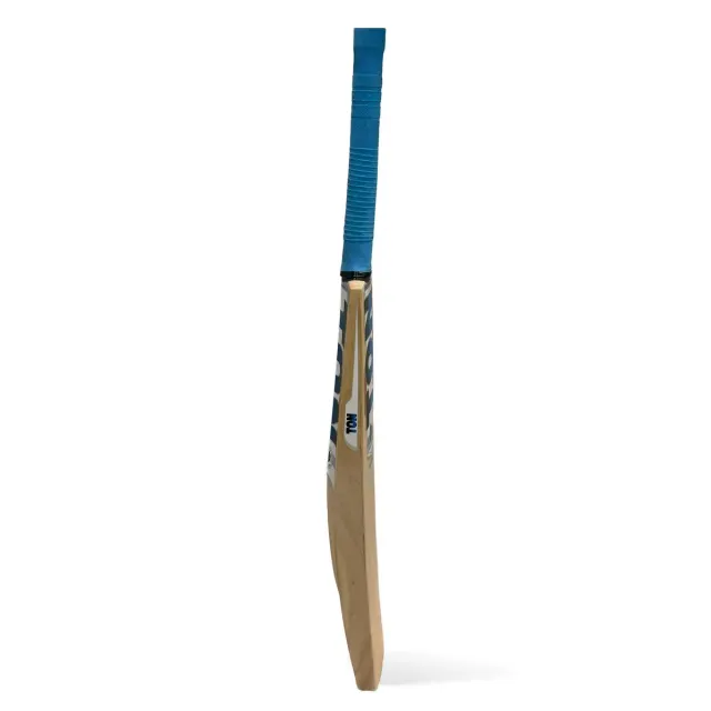 TON Blaster Kashmir Willow Cricket Bat – SS