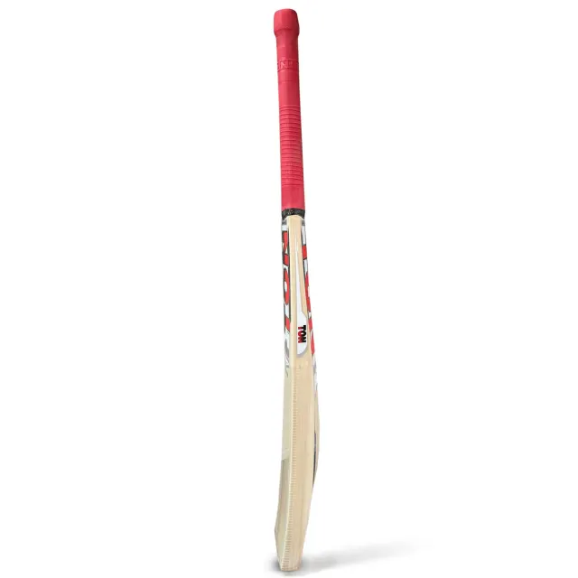 TON Revolution Kashmir Willow Cricket Bat – SS